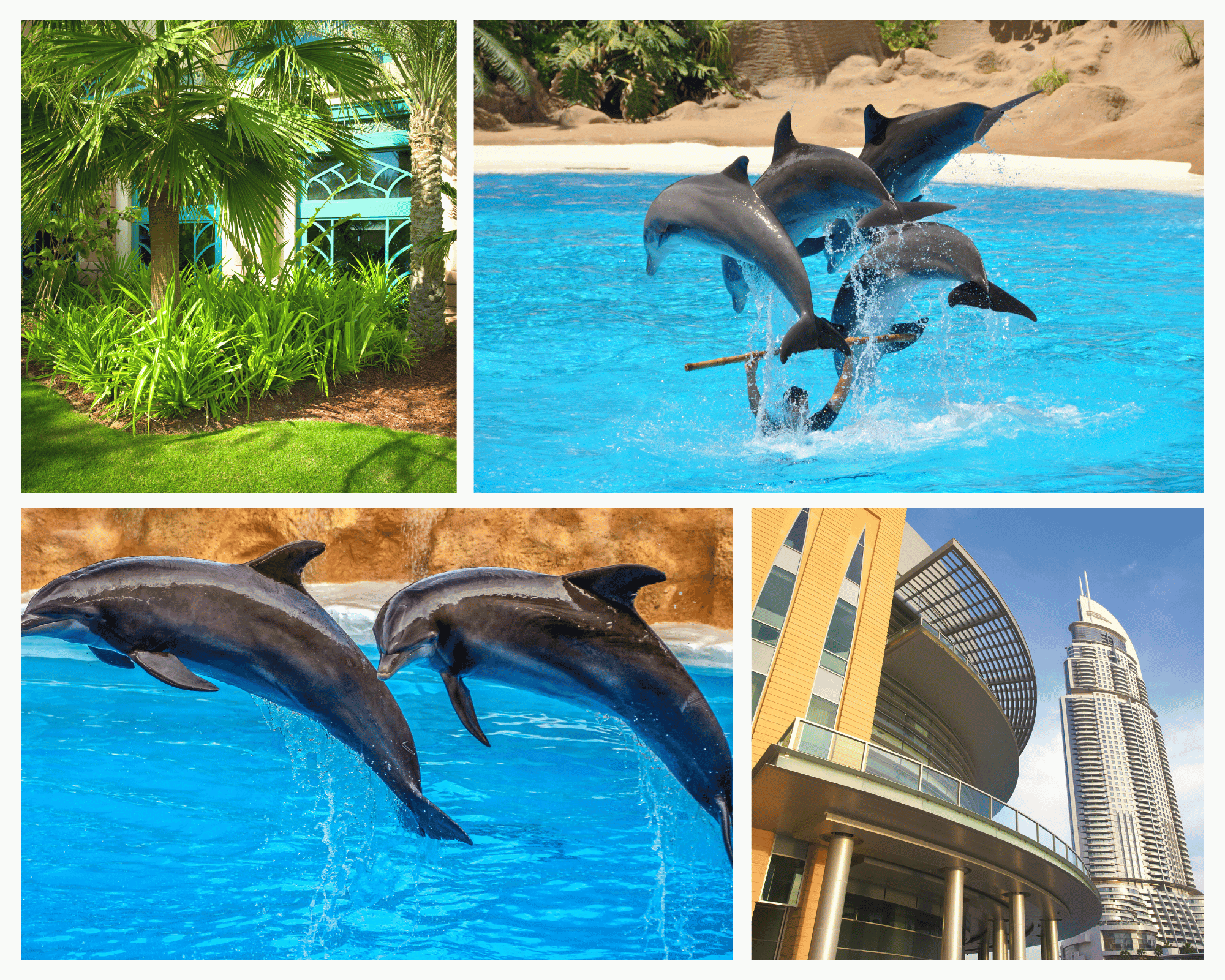 Dubai 4 * Hotel With Trio + Dolphin Show + Dubai Frame 04 Nights | 05 Days